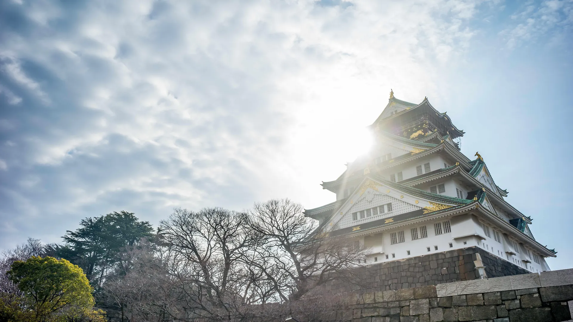 *****  Intercontinental Hotel Osaka By Ihg Japan